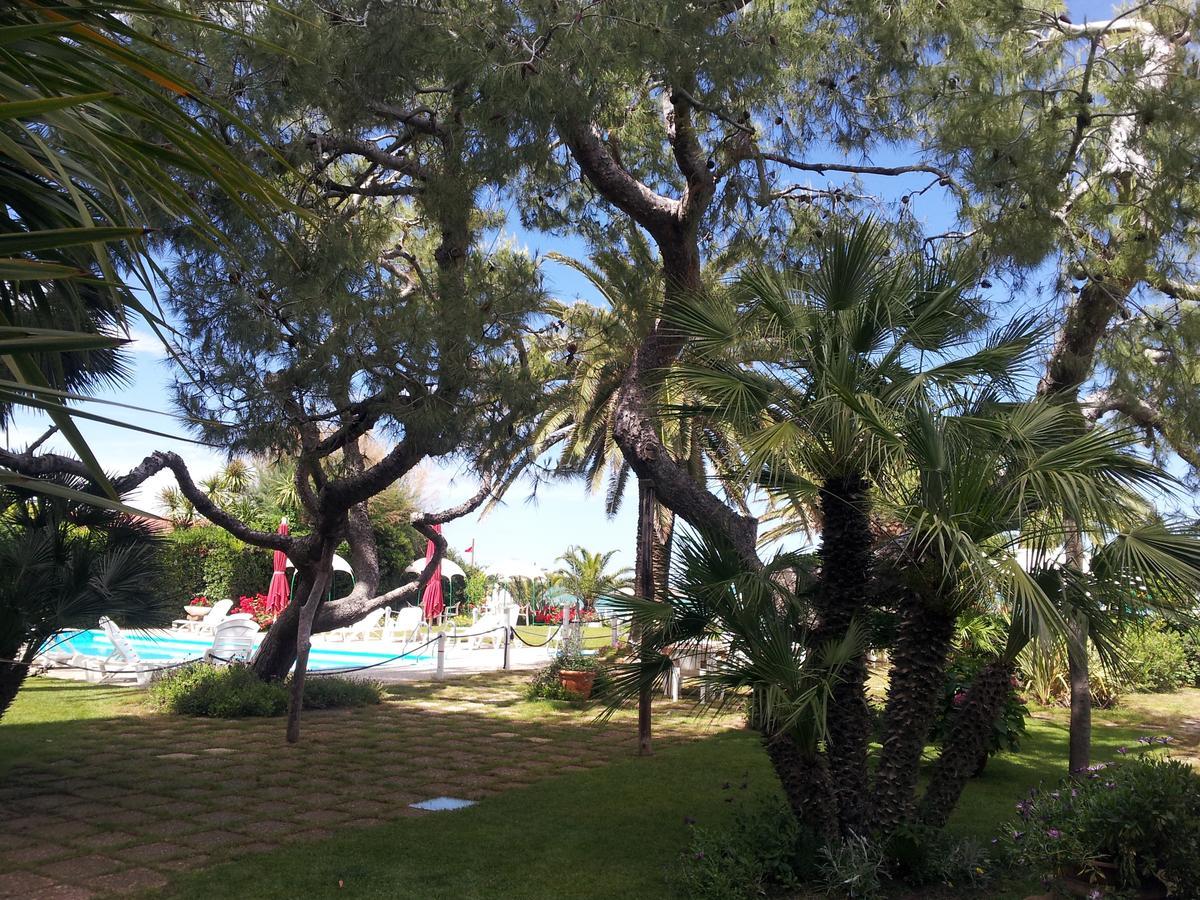 Hotel Silvi Silvi Marina Dış mekan fotoğraf