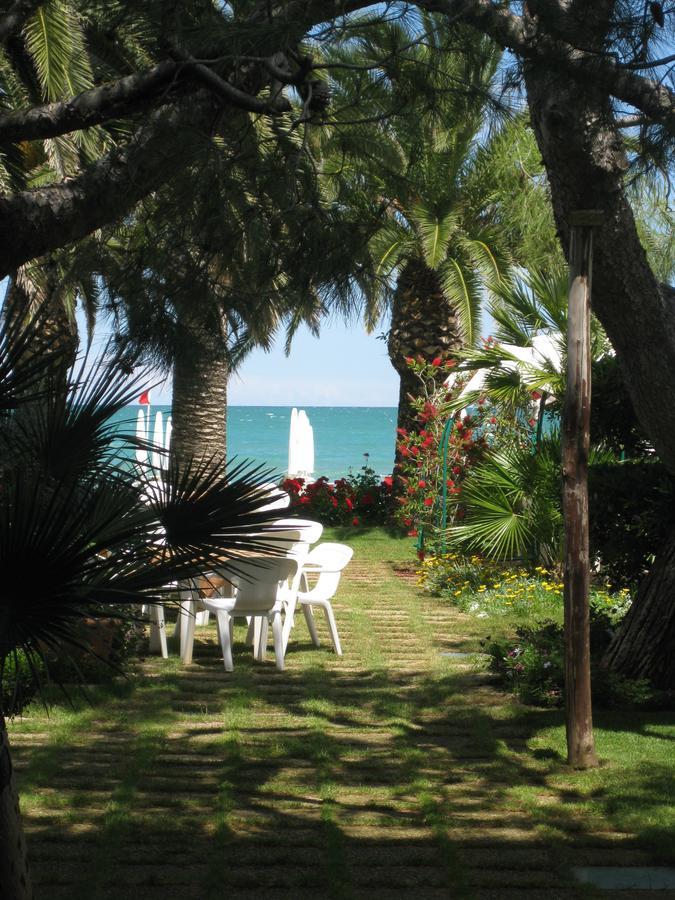 Hotel Silvi Silvi Marina Dış mekan fotoğraf